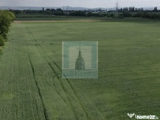 Teren intravilan 50000 mp, cu PUZ, Aprobat - zona Halchiu...