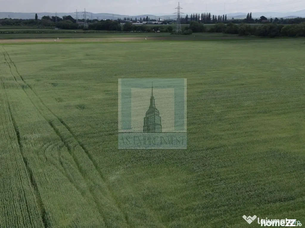 Teren intravilan 50000 mp, cu PUZ, Aprobat - zona Halchiu...