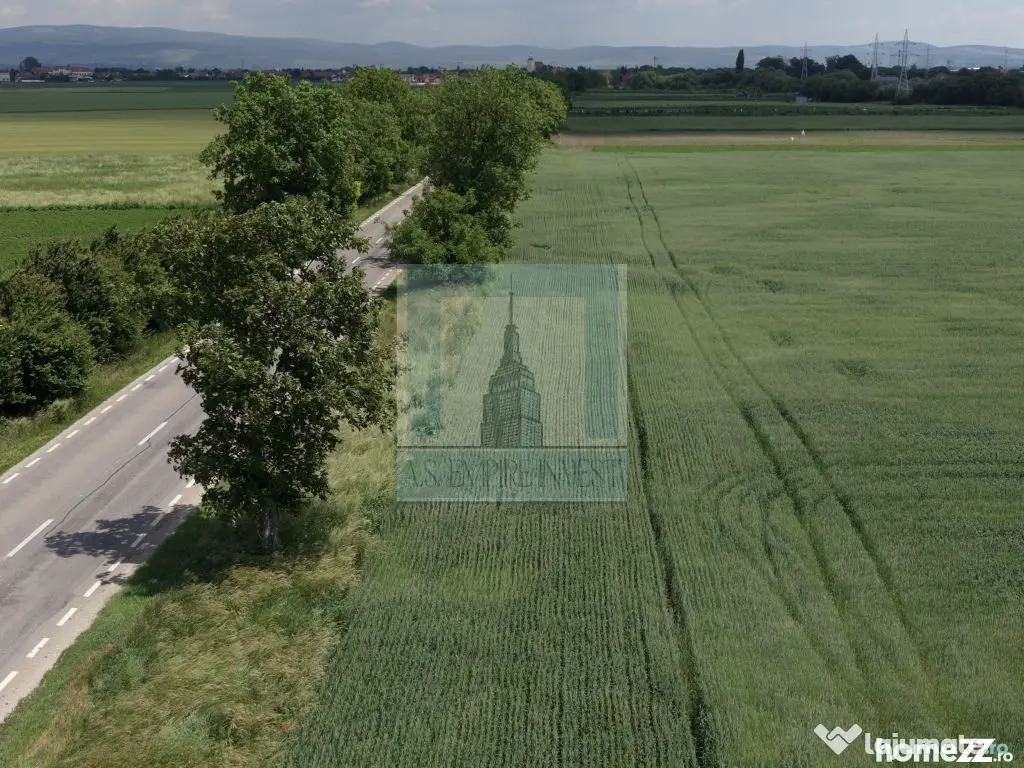 Teren intravilan 50000 mp, cu PUZ, Aprobat - zona Halchiu...
