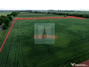 Teren intravilan 50000 mp, cu PUZ, Aprobat - zona Halchiu... 