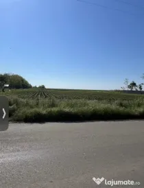 teren intravilan