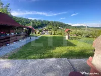 Teren de vanzar 1.000 mp cu utilități, livadă, vie și po 