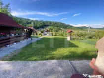 Teren de vanzar 1.000 mp cu utilități, livadă, vie și po