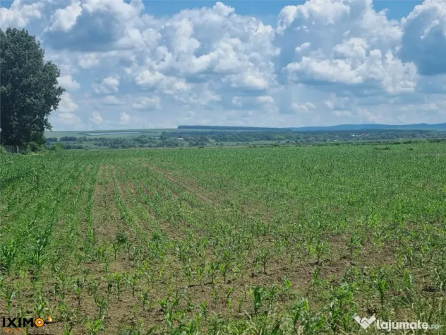 Extravilan Compact 2.75 Ha Saucesti AICBAC