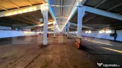Proprietate industrială premium în Blaj – hale 3.343 mp, 