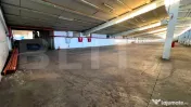 Hale Industriale 3.850 mp Utili + Teren 11.400 mp | Blaj 