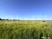 Teren parțial intravilan de vânzare – 9.550 mp, Comuna P