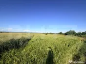 Teren parțial intravilan de vânzare – 9.550 mp, Comuna P