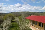 Arges | Valea Mare-Bratia | Vila veritabila 276 mp in zon...
