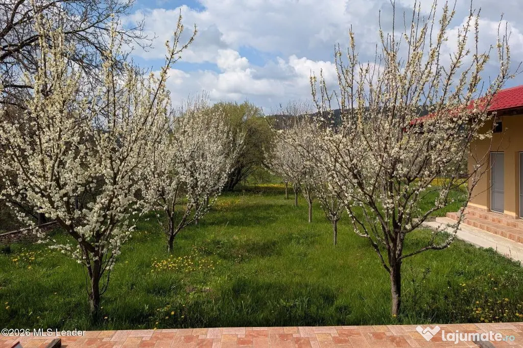 Arges | Valea Mare-Bratia | Vila veritabila 276 mp in zon...