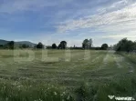 1600 mp de teren intravilan, situat într-o zonă liniștit?