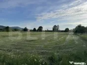 1600 mp de teren intravilan, situat într-o zonă liniștit? 