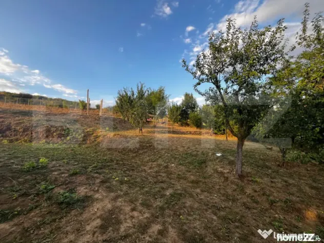 Propietate rara! 125 mp, 1000 mp teren, priveliste panoramic - Rediu (Cluj)