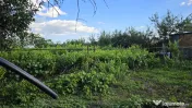 Casă cu potențial, 4 camere, lângă pădure-Jud Giurgi...