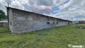 Spațiu industrial/hala de vanzare - Piatra Neamt 