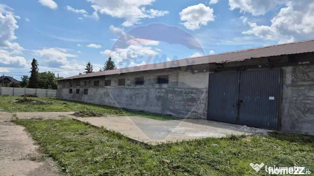 Spațiu industrial/hala de vanzare - Piatra Neamt