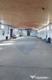 Spațiu industrial/hala de vanzare - Piatra Neamt