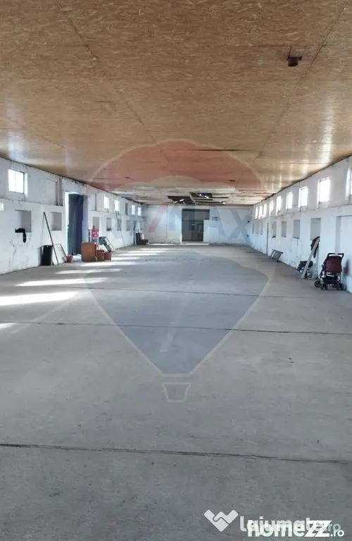 Spațiu industrial/hala de vanzare - Piatra Neamt