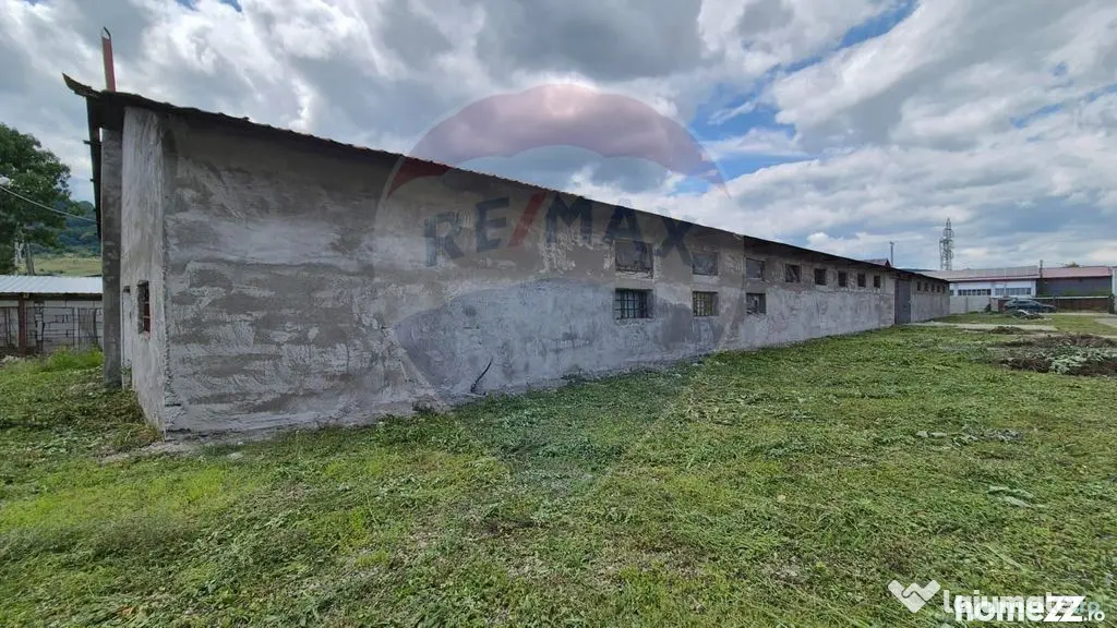 Spațiu industrial/hala de vanzare - Piatra Neamt