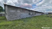 Spațiu industrial/hala de vanzare - Piatra Neamt