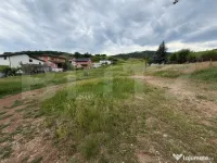 Teren intravilan 3.624 mp – oportunitate excelentă pentru 