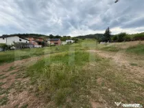 Teren intravilan 3.624 mp, zona Micesti