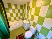 Casa Parter - Renovata - Centrala proprie - 546mp - Nicol... 