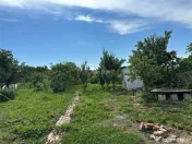 CASA SOLIDA CU TEREN SI CURTE, BOCSA VASIOVA.