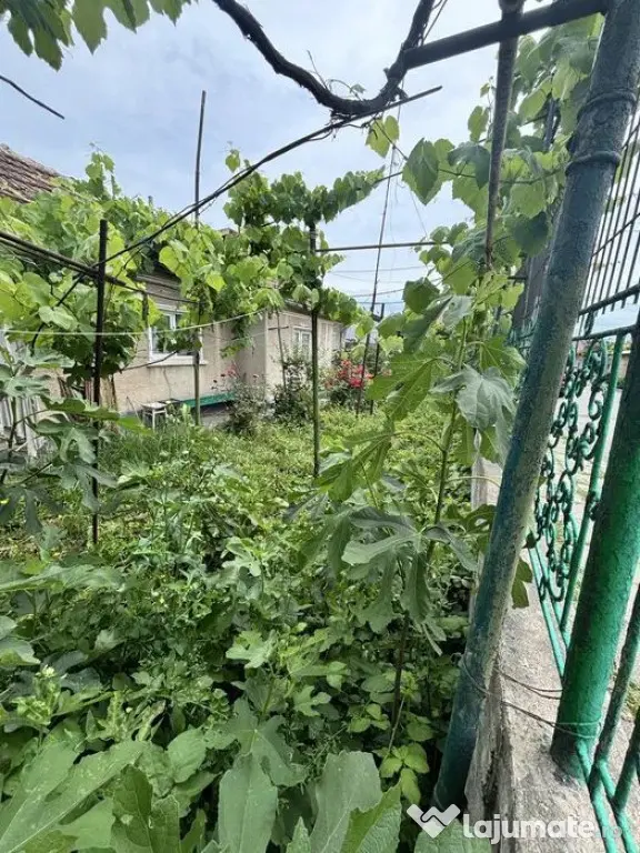 Teren+casa 3 camere-zona Coiciu