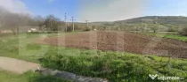 Investitie ! Teren intravilan, 4456 mp, front 30 m, Băișoa