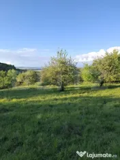 De vanzare teren extravilan in Valea Zizinului 