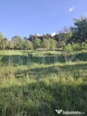 De vanzare teren extravilan in Valea Zizinului 