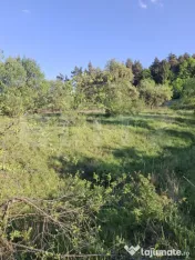 De vanzare teren extravilan in Valea Zizinului 