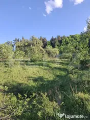 De vanzare teren extravilan in Valea Zizinului 