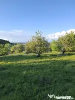 Teren extravilan de vanzare, 10.000 mp, in Valea Zizinului