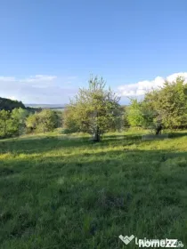 Teren extravilan de vanzare, 10.000 mp, in Valea Zizinului