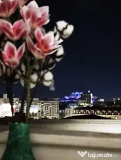 Unirii bratianu centru vechi
