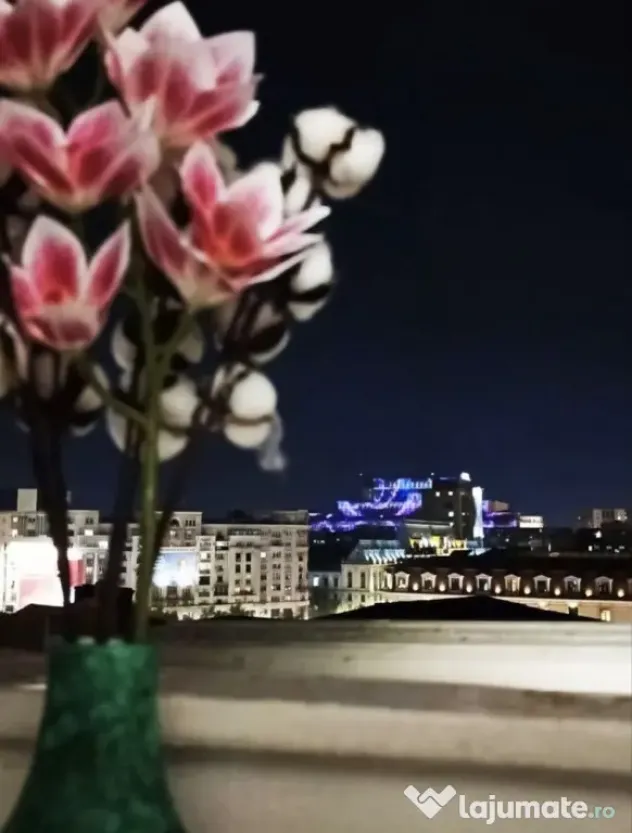 Unirii bratianu centru vechi