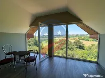 Vila cu 6camere de vanzare in Carcea/Dolj