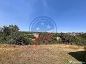 Vila cu 6camere de vanzare in Carcea/Dolj