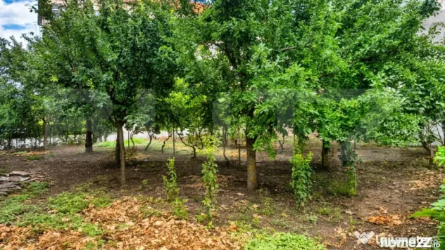 Casa cu 2 camere de vanzare, 50 mp, teren 335 mp, strada Mar