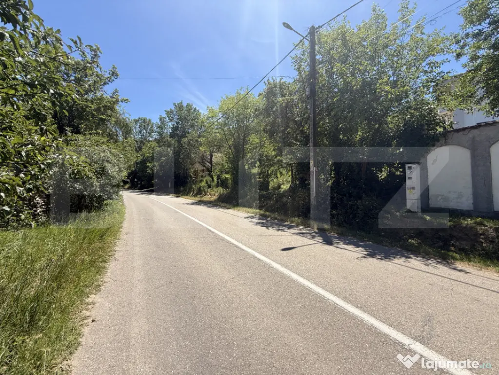 Teren intravilan 4.542 mp la principală, front 37 m, Leamn