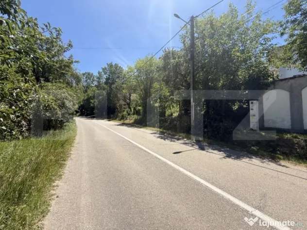 Teren intravilan 4.542 mp la principală, front 37 m, Leamn
