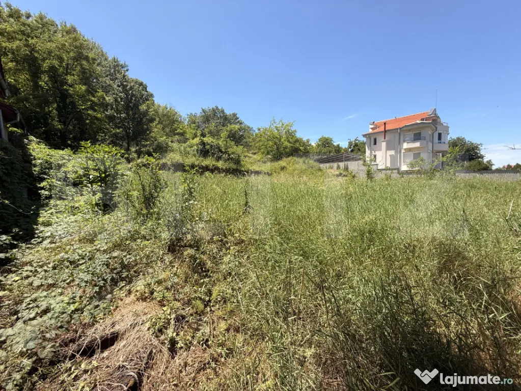 Teren intravilan 4.542 mp la principală, front 37 m, Leamn