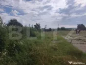 TEREN INDUSTRIAL 8.000 mp în Dragomirești – Hală din C? 