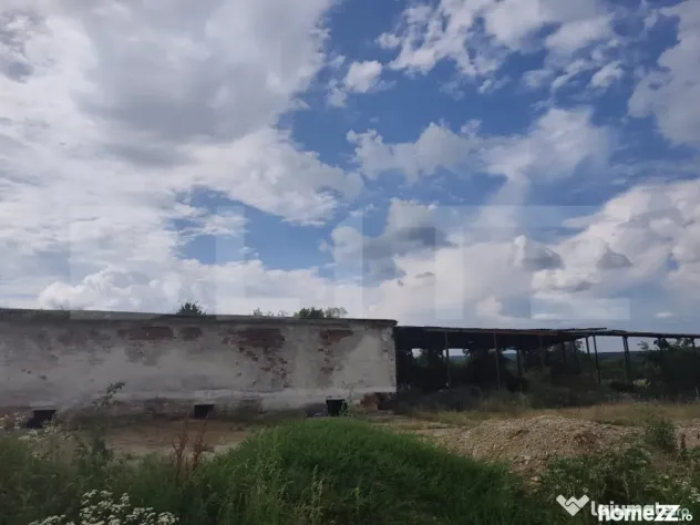 Teren industrial – Hală din Cărămidă, 8.000 mp, zonă