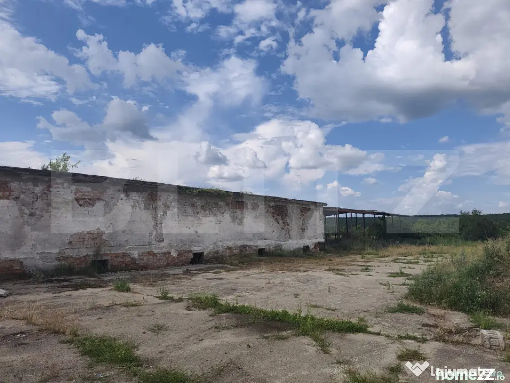 Teren industrial – Hală din Cărămidă, 8.000 mp, zonă