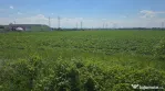 Teren intravilan pentru dezvoltare industrială/logistică ?