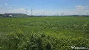 Teren intravilan pentru dezvoltare industrială/logistică ? 