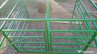 Stand de muls pentru ovine 